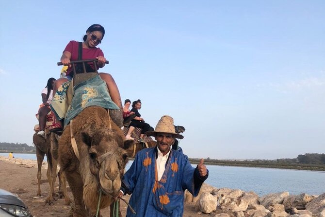 Camel Riding Agadir - Souss Massa River Bird Time: Flamingos and Rare Species Chances