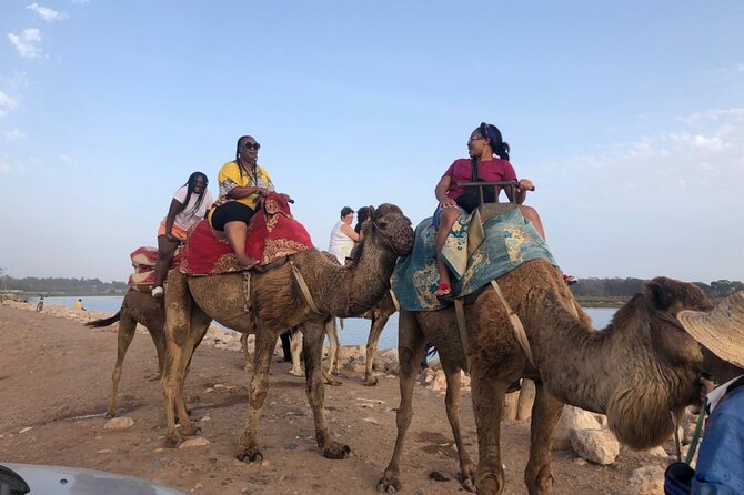 Camel Riding Agadir - From River Edges to Sand Dunes and Beach