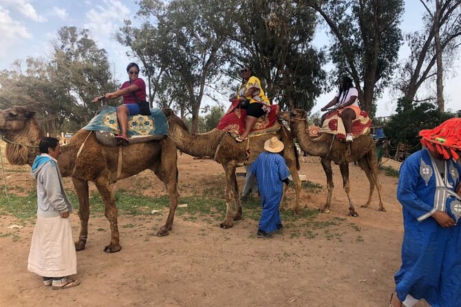 Camel Riding Agadir - Camel Riding Style and Safety: What You’re Really Doing