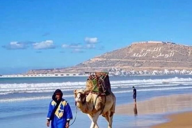 Camel Riding Agadir - Duration Options: How to Choose 2 Hours vs Half Day vs Full Day