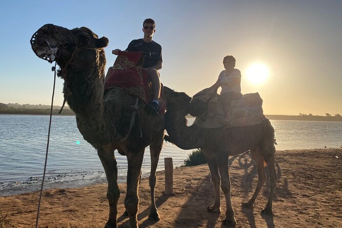 Camel Riding Agadir - Price and Value in Real Life (Especially at $29.04)