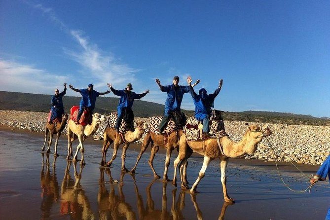Camel Riding Agadir - Hotel Pickup and Private Pacing: The Logistics That Make It Worth It