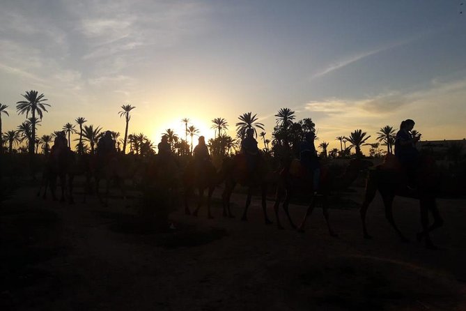 Camel riding in marrakech - Marrakech pickup to palm groves, how the drive sets the day