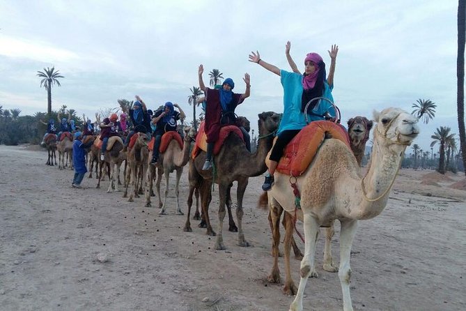 Camel riding in marrakech - Logistics that actually matter: meeting point, ticket, and timing