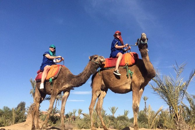 Camel Trek Around Marrakech Palmeraie - Pickup by Air-Conditioned Minivan: The Smart Part