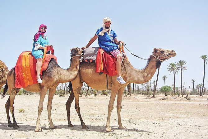 Camel Trek Around Marrakech Palmeraie - The Tea Break: Moroccan Mint Tea as the Real Reset