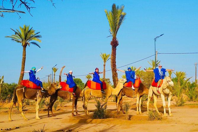 Camel Trek Around Marrakech Palmeraie - Guides You’ll Remember: Abraham, Aziz, Ibrahim, Mehdi, and More