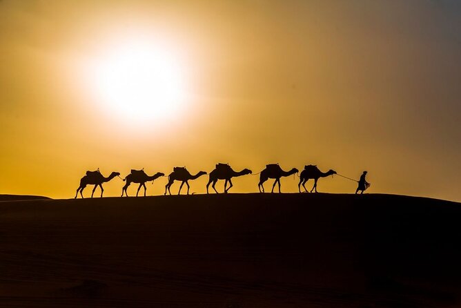Camel trekking overnight in Merzouga desert camp - Should You Book This Overnight Camel Trek in Merzouga?