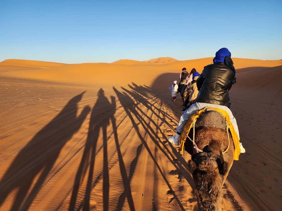 Camp Overnight in Merzouga's Erg Chebbi Dunes from Merzouga - Sunset Camel Time and That Mint Tea Moment