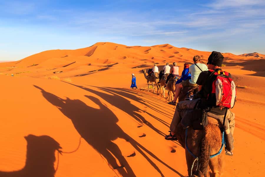 Casablanca: 6-Day Tour To Marrakech Via Chefchaouen & Desert - Day 2: Volubilis Roman Ruins, Meknes Gate, then Fes Arrival