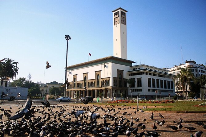 Casablanca Airport Layover Tour with Return to Airport or Hotel Dropoff - Central Market for real Morocco, plus Ain Diab for the sea view