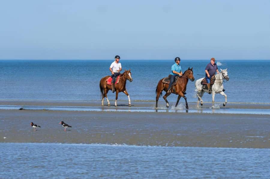 Casablanca: Beach Horseback Riding with Hotel Transfers - Key highlights worth planning around