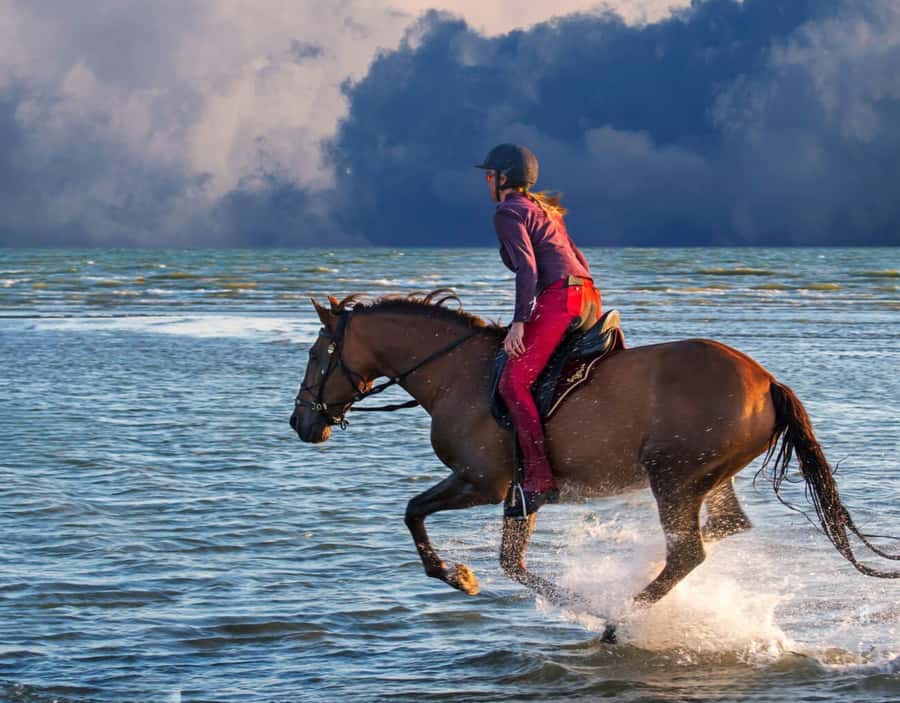 Casablanca: Beach Horseback Riding with Hotel Transfers - Who should book this horseback ride, and who should reconsider