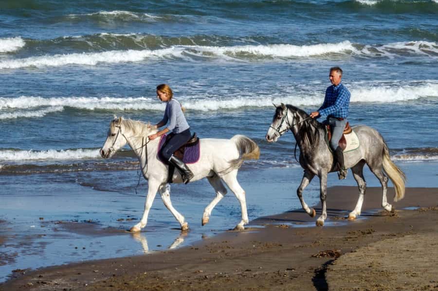 Casablanca: Beach Horseback Riding with Hotel Transfers - Casablanca beach horseback riding, built for short and sweet adventure