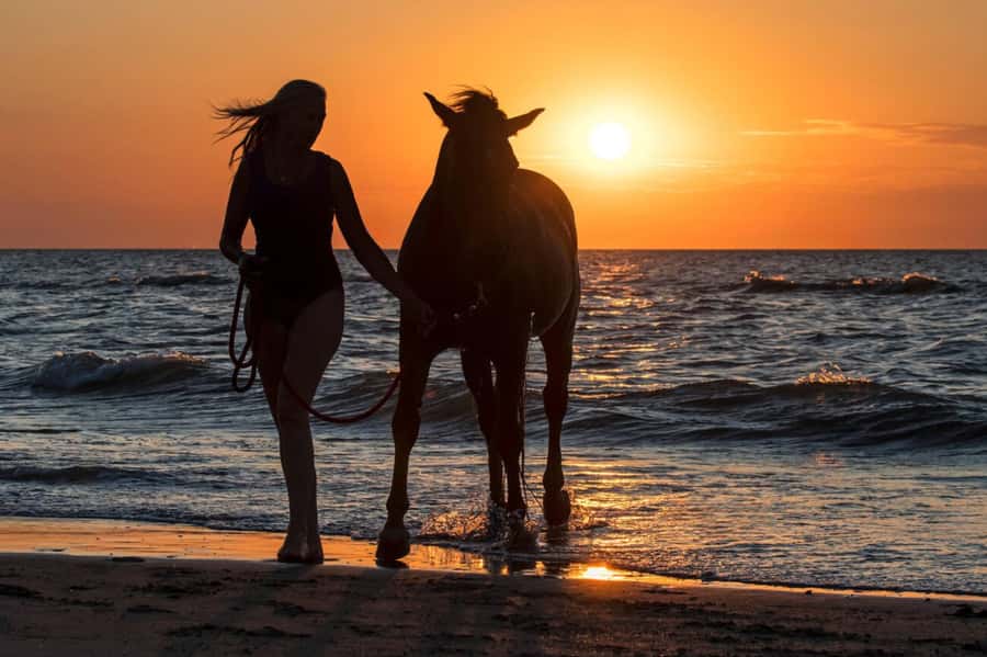 Casablanca: Beach Horseback Riding with Hotel Transfers - The drive toward the ocean, and how to avoid common discomfort
