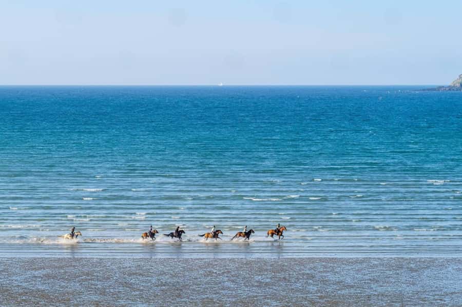 Casablanca: Beach Horseback Riding with Hotel Transfers - Your one-hour ride: beach waves and sunset, or forest calm