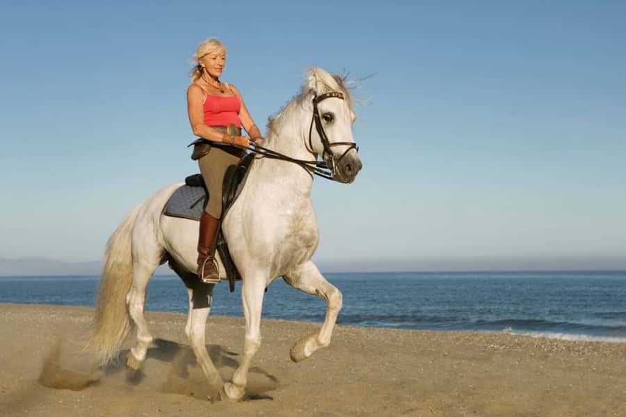 Casablanca: Beach Horseback Riding with Hotel Transfers - Safety and guidance: how the team keeps first-timers confident