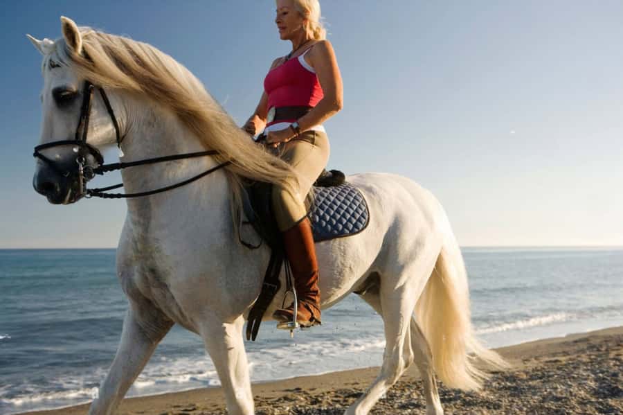 Casablanca: Beach Horseback Riding with Hotel Transfers - Where you end up after the ride: port or hotel drop-off