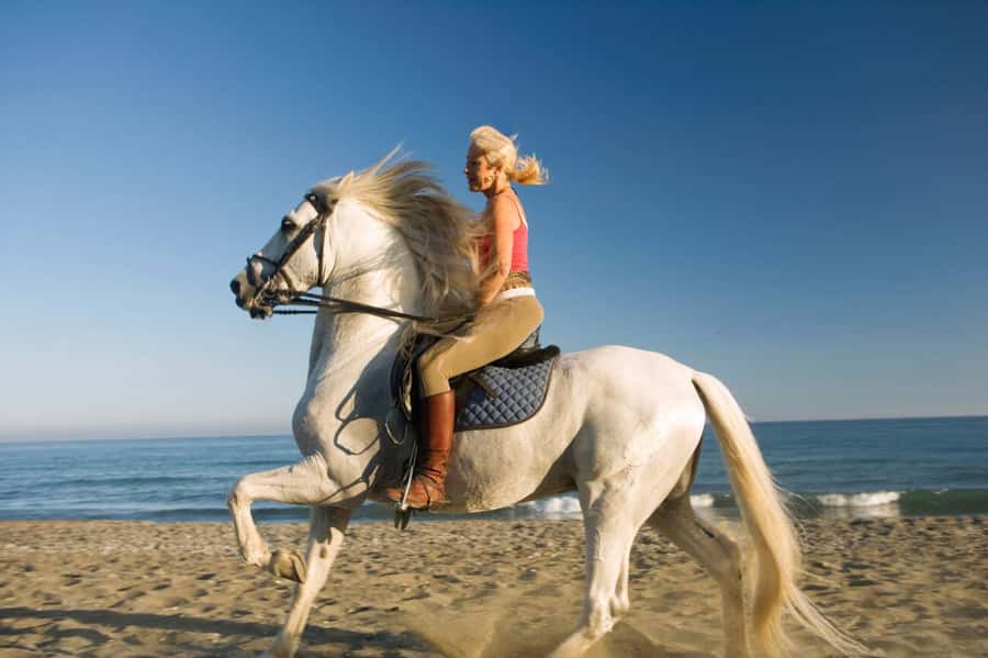 Casablanca: Beach Horseback Riding with Hotel Transfers - Price and value: $46 for two hours that includes the whole setup