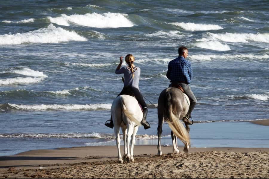 Casablanca: Beach Horseback Riding with Hotel Transfers - The comfort-first hotel transfers that actually reduce stress