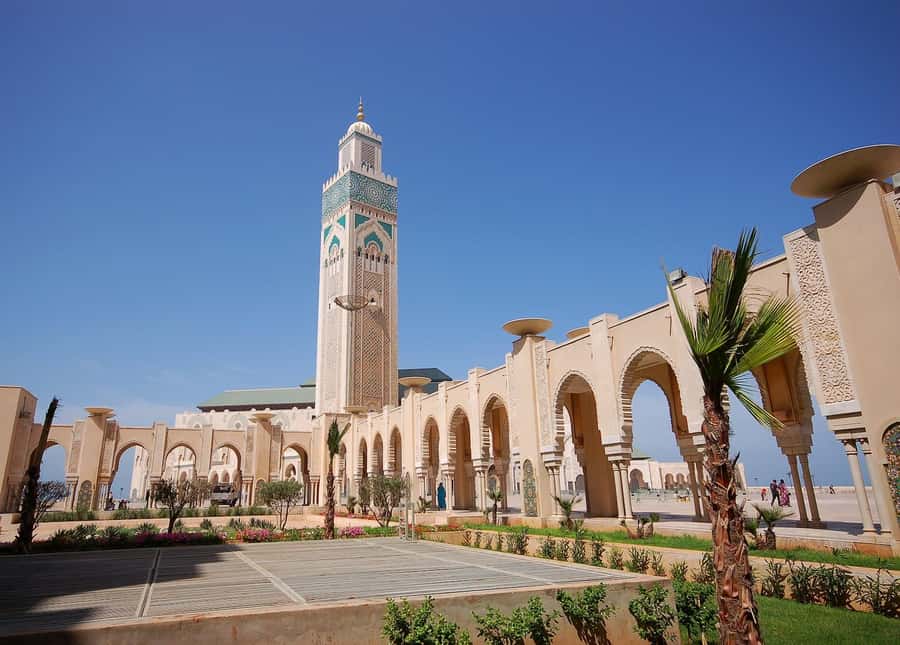 Casablanca Day Tour from Marrakech and Big Mosque Visit - Key highlights that matter