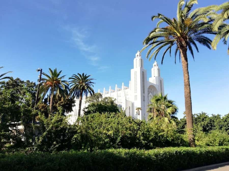 Casablanca Full-Day City Tour with round-trip hotel transfer - La Corniche Promenade: Atlantic Air and Skyline Photos