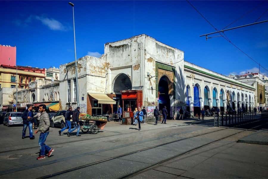 Casablanca Full-Day City Tour with round-trip hotel transfer - Rick’s Café Stop, Then Back to the Old Medina Energy