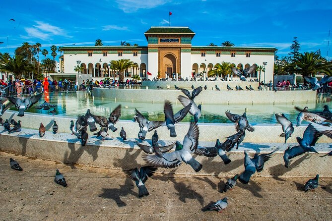 Casablanca Half-day guided tour - Habous quarter: the new medina vibe and real shopping energy