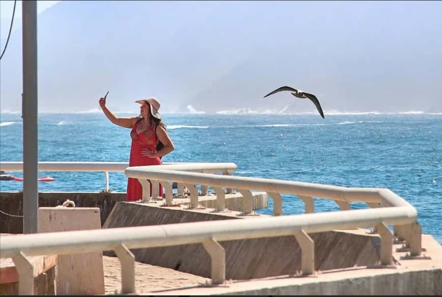 Casablanca: Private Guided Tour with lunch - Rick’s Café and Mohammed V Square: Film Magic Meets City Power