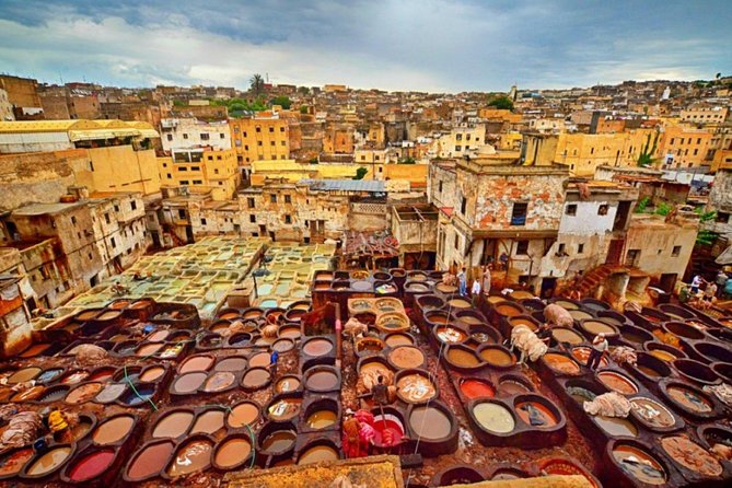 Casablanca to Fez Private Transfer with Full Fez Tour and Lunch - Chouara Tannery: leather craft you can see, but plan for the sensory part