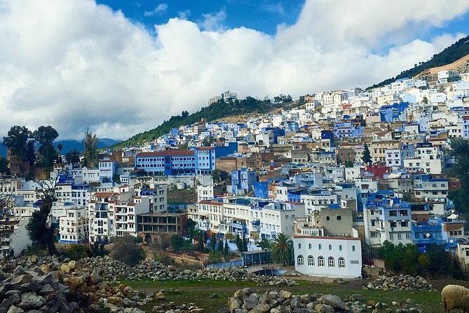 Chefchaouen Day Trip from Fes - Key things to know before you go