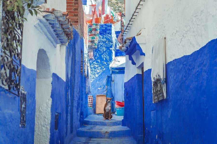 Chefchaouen Day Trip from Fez (Shared Group Tour) - En route stops: Dam Achahad, Rif air, and easy photo breaks