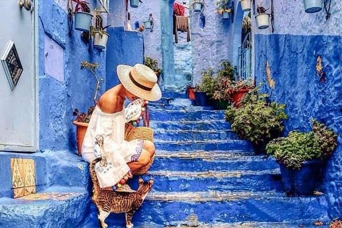 Chefchaouen Day Trip! The Blue Pearl - The Blue Streets Plan: Photos, Instagram Spots, and a Viewpoint Hike
