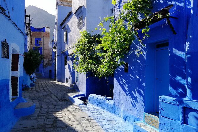 Chefchaouen private full day excursion & panoramic of Tangier - Price and value: what $132.60 really buys you
