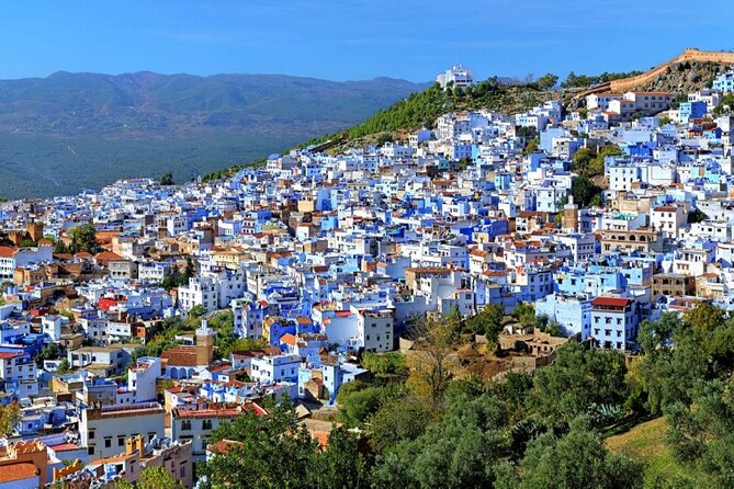 Chefchaouen the Blue City Full-Day Trip from Casablanca - Price and Value Versus DIY Transport