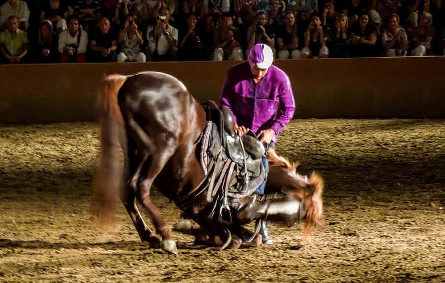 Chez Ali Dinner & Horsemen Show From Marrakech - What a Chez Ali Night Really Feels Like