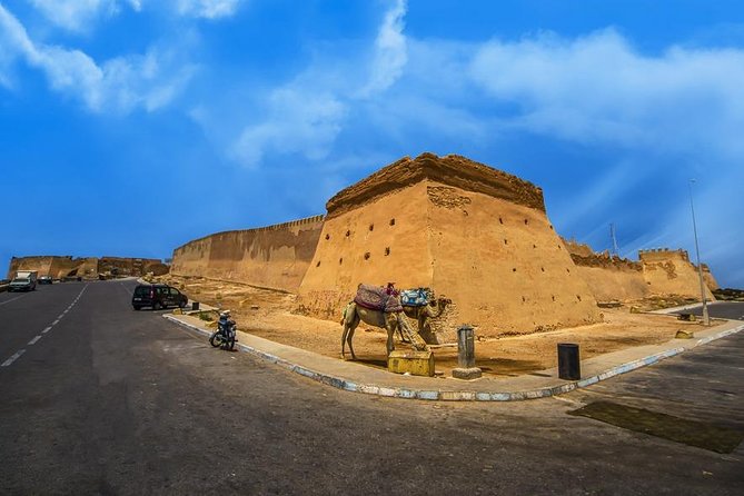 City Tour Agadir - Marina DAgadir and the fishing port, where the city breathes