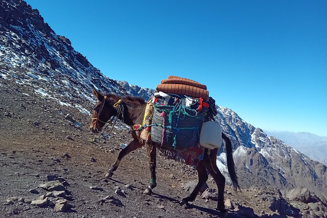 Climb Mount Toubkal 2 Days From Marrakech all Included - Weather, Altitude, and the Reality of a Long Descent
