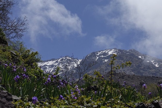 Climb Mount Toubkal - trekking - 3 days - Day 3: back down to Imlil, then onto Marrakech