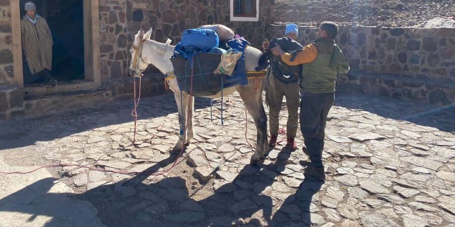 Climb Toubkal: 2-Day Atlas Trek with Local Berber Guide - Day 2, summit to Toubkal at 4,167m: the steep part with huge rewards