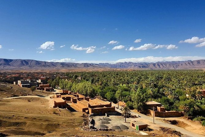 Combined Tour: Atlas Mountains Trek and Sahara Desert 5 days Tour - Day 5: Sunrise in the Dunes, Camel Back, Then the Long Drive to Marrakech
