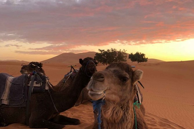 Combined Tour: Atlas Mountains Trek and Sahara Desert 5 days Tour - Marrakech Start, Then Right Into the Mountains