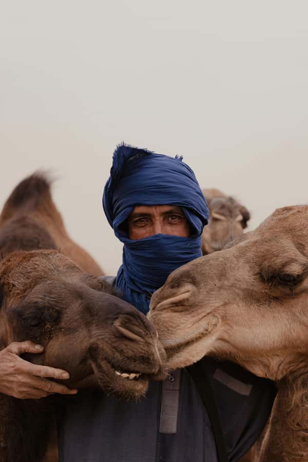 Dakhla White Dune Tour 4x4 - Reaching the top: panoramic bay views and pink flamingos