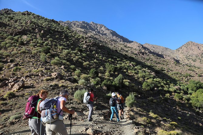 Day Excursion in the Atlas mountains - Key Highlights at a Glance