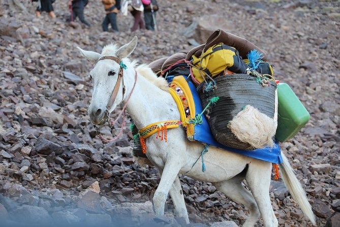 Day Excursion in the Atlas mountains - Who This Day Trip Suits Best