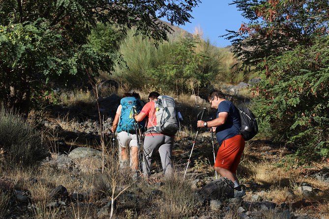 Day Excursion in the Atlas mountains - Getting to Imlil: Marrakech Pickup, Souks, and Cooperative Stops