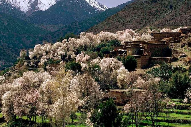 Day Excursion to Atlas Mountains from Marrakech - Key highlights worth your attention