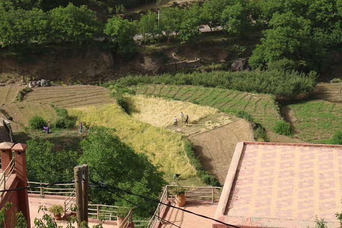 Day Tour from Marrakech to atlas mountains valleys, Camel Ride & Berber family - Asni and the souk timing: one day’s detail can change everything