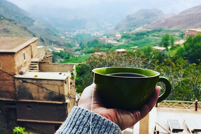 Day Tour from Marrakech to atlas mountains valleys, Camel Ride & Berber family - Imlil terrace fields and the walking tour that makes the views mean something