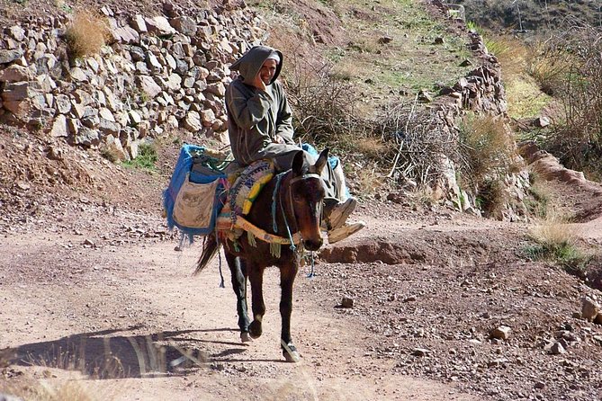 Day tour in high Atlas mountains - The drive into the High Atlas, and what you gain from private transport